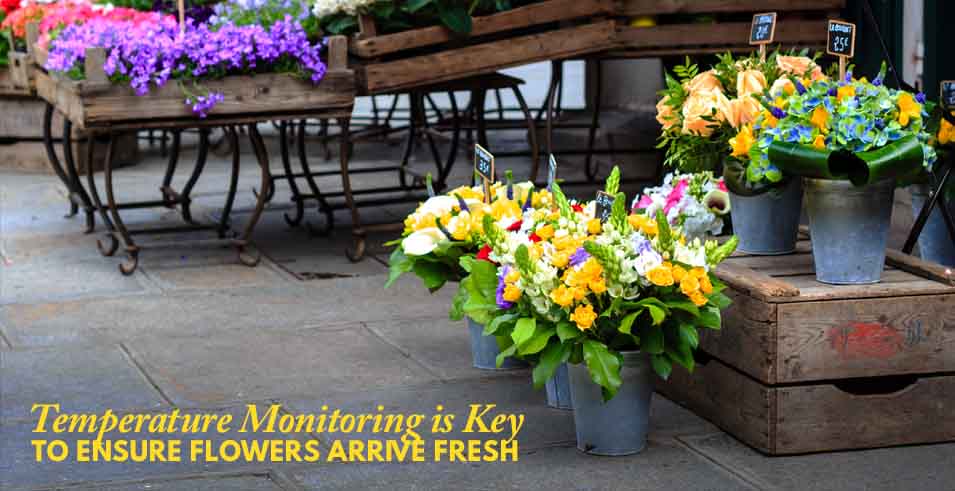 How Flowers are Shipped to Distributors